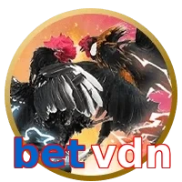 betvdn
