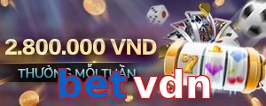 betvdn