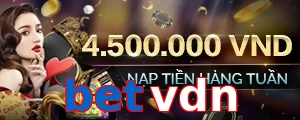 betvdn