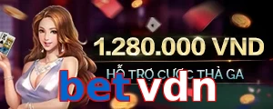 betvdn