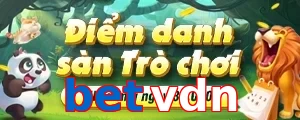 betvdn