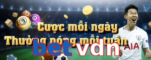 betvdn