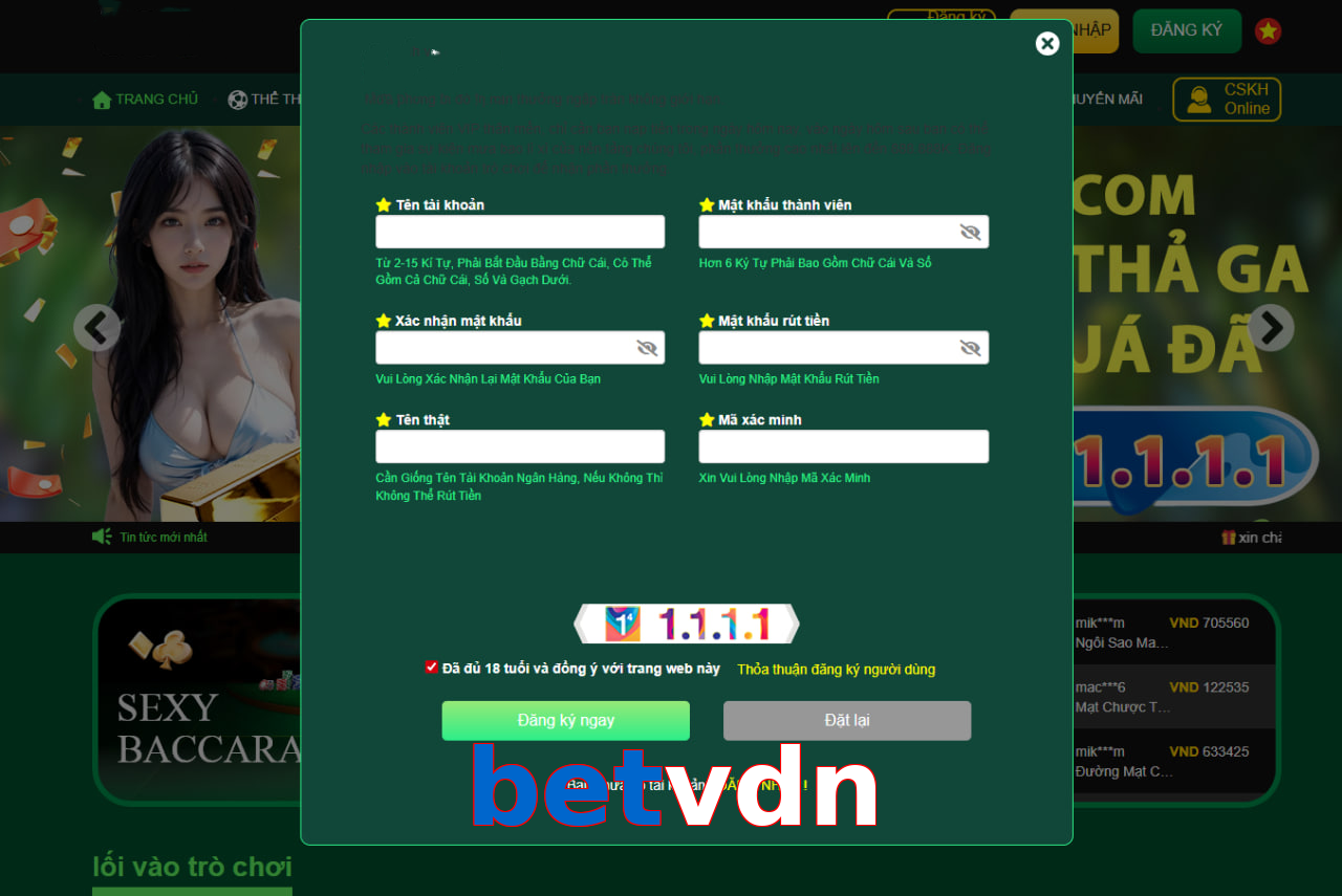 betvdn